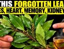 add bay leaf to your water and